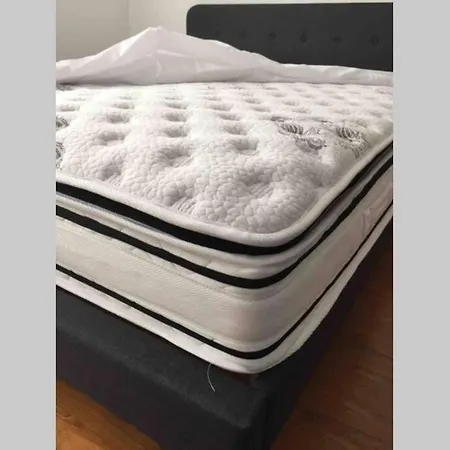 Cosy Basilique Et Carmel *