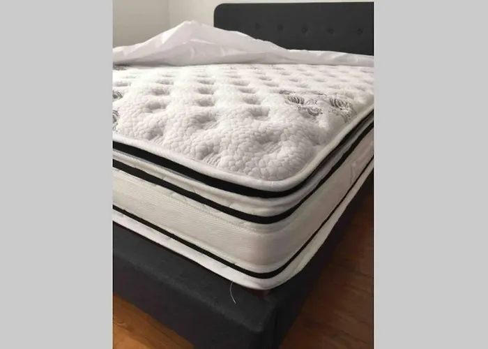 Cosy Basilique Et Carmel *